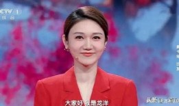 新闻爆料主持人名单大全,风采各异，谁是你心中的最佳主持？